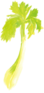 セロリ